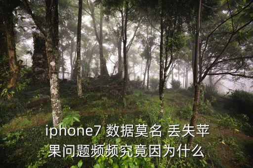 iphone升級(jí)內(nèi)存 數(shù)據(jù)丟失,讀卡器會(huì)使內(nèi)存數(shù)據(jù)丟失嘛