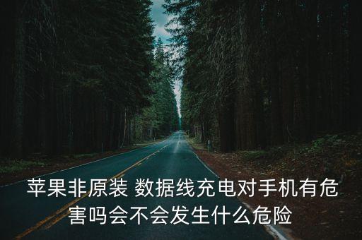  蘋果非原裝 數(shù)據(jù)線充電對手機(jī)有危害嗎會不會發(fā)生什么危險