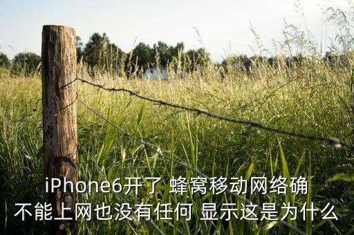 iPhone6開了 蜂窩移動網(wǎng)絡(luò)確不能上網(wǎng)也沒有任何 顯示這是為什么