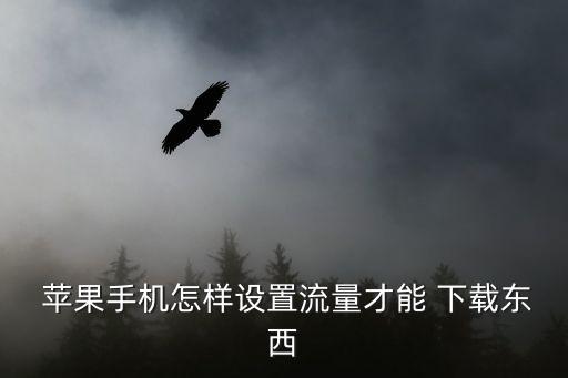  蘋果手機(jī)怎樣設(shè)置流量才能 下載東西