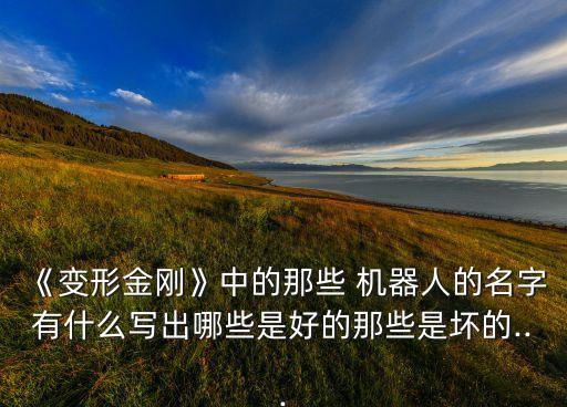 《變形金剛》中的那些 機(jī)器人的名字有什么寫(xiě)出哪些是好的那些是壞的...