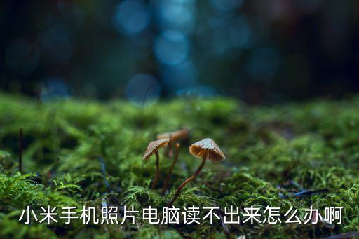 小米未能獲得圖片數(shù)據(jù)庫(kù)