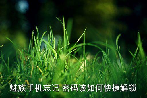 魅族手機(jī)忘記 密碼該如何快捷解鎖