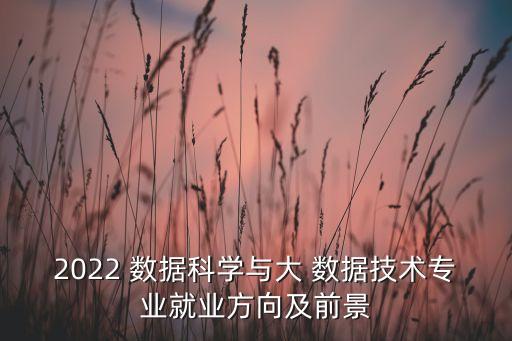 科學(xué)大數(shù)據(jù)工程,數(shù)據(jù)科學(xué)與工程專業(yè)