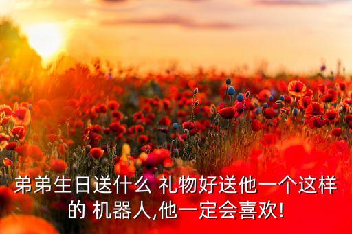 弟弟生日送什么 禮物好送他一個這樣的 機器人,他一定會喜歡!