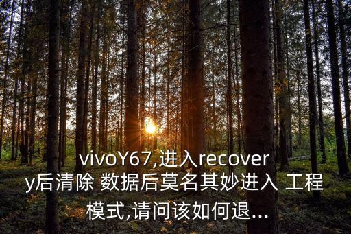 在工程模式清楚數(shù)據(jù),工程模式清除數(shù)據(jù)有什么后果