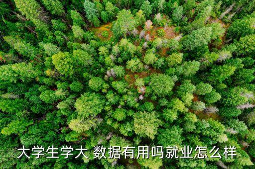 大數(shù)據(jù)開發(fā)月薪