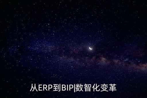 從ERP到BIP|數(shù)智化變革