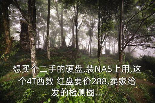 想買個(gè)二手的硬盤,裝NAS上用,這個(gè)4T西數(shù) 紅盤要價(jià)288,賣家給發(fā)的檢測(cè)圖...