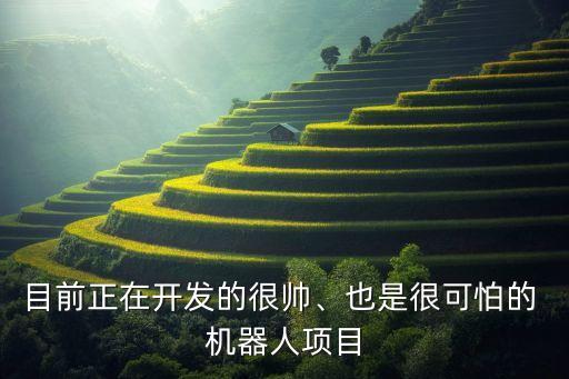 目前正在開發(fā)的很帥、也是很可怕的 機(jī)器人項(xiàng)目