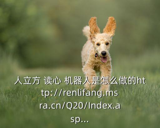 人立方 讀心 機(jī)器人是怎么做的http://renlifang.msra.cn/Q20/Index.asp...