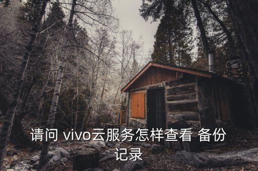 請(qǐng)問 vivo云服務(wù)怎樣查看 備份記錄