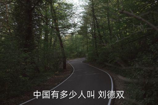 大數(shù)據(jù)劉德