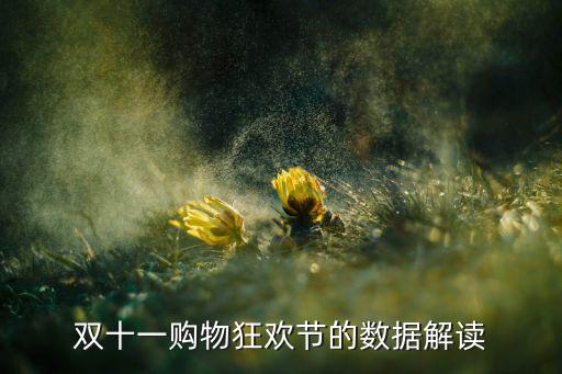 雙十一購物狂歡節(jié)的數(shù)據(jù)解讀