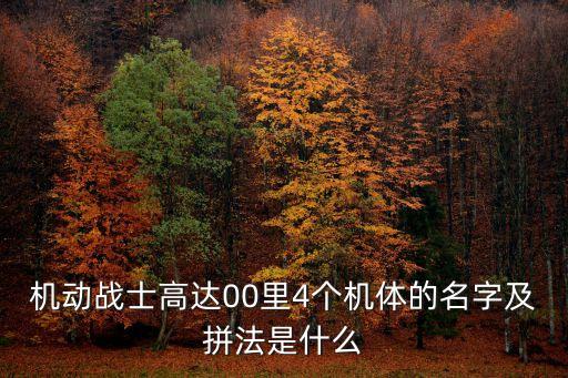 機(jī)動戰(zhàn)士高達(dá)00里4個機(jī)體的名字及拼法是什么