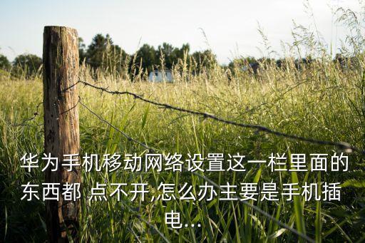 華為移動(dòng)數(shù)據(jù)點(diǎn)不開(kāi)怎么辦