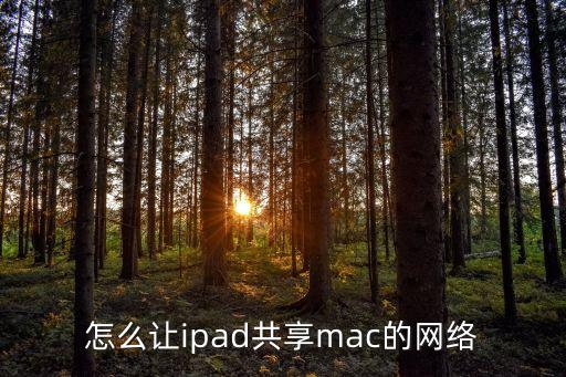 怎么讓ipad共享mac的網(wǎng)絡(luò)