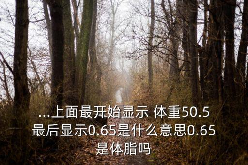 體重秤 卡路里數(shù)據(jù)是什么意思