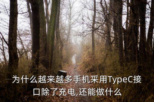 可以看到電流的數(shù)據(jù)線(xiàn),什么軟件可以看到充電電流