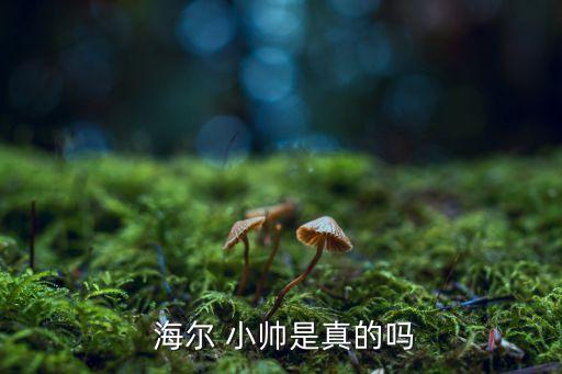  海爾 小帥是真的嗎