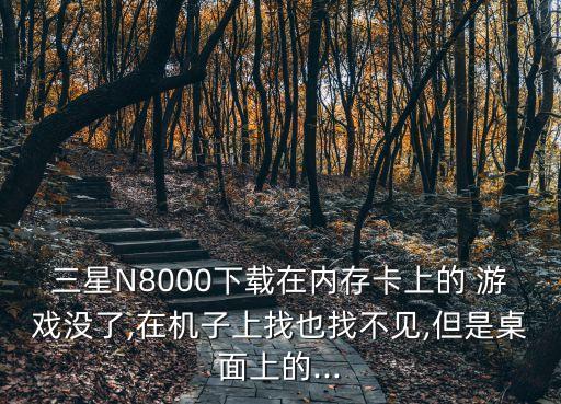 三星N8000下載在內(nèi)存卡上的 游戲沒(méi)了,在機(jī)子上找也找不見(jiàn),但是桌面上的...