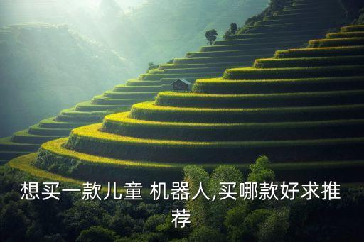 想買一款兒童 機(jī)器人,買哪款好求推薦