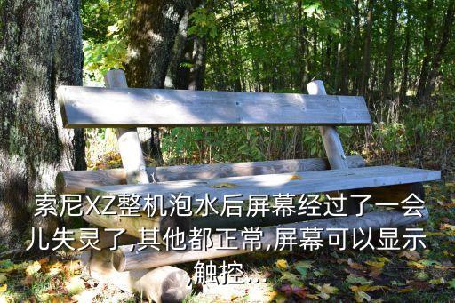 索尼xz數(shù)據(jù)線是什么,索尼walkman數(shù)據(jù)線是什么接口