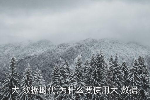 研究大數(shù)據(jù)的目的,為什么要研究大數(shù)據(jù)