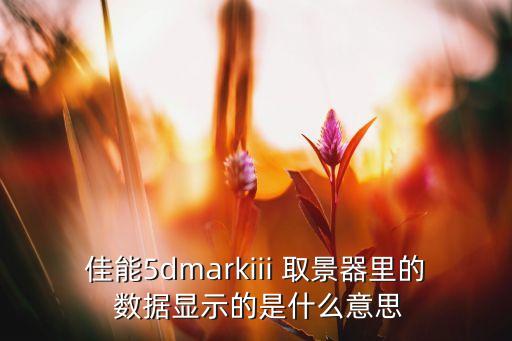 佳能5dmarkiii 取景器里的 數(shù)據(jù)顯示的是什么意思