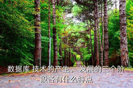 數(shù)據(jù)庫 技術(shù)的產(chǎn)生、 發(fā)展的三個階段各有什么特點(diǎn)