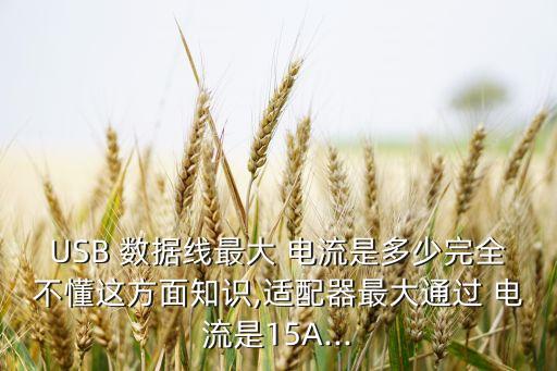 USB 數(shù)據(jù)線最大 電流是多少完全不懂這方面知識,適配器最大通過 電流是15A...
