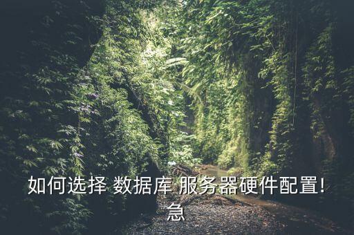 數(shù)據(jù)庫(kù)服務(wù)器要求,應(yīng)用服務(wù)器和數(shù)據(jù)庫(kù)服務(wù)器