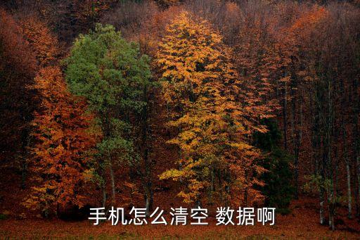  手機怎么清空 數(shù)據啊