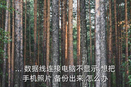 ... 數(shù)據(jù)線連接電腦不顯示,想把手機(jī)照片 備份出來,怎么辦