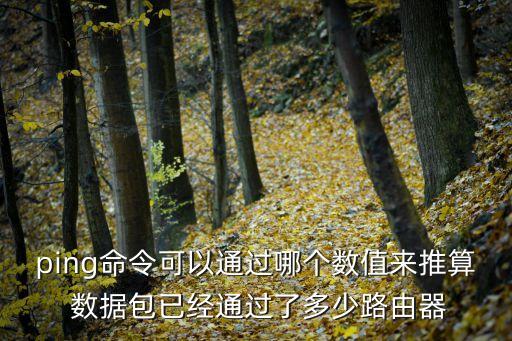 數(shù)據(jù)包 計算,如何計算數(shù)據(jù)包延遲
