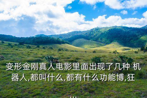 變形金剛真人電影里面出現(xiàn)了幾種 機(jī)器人,都叫什么,都有什么功能博,狂...