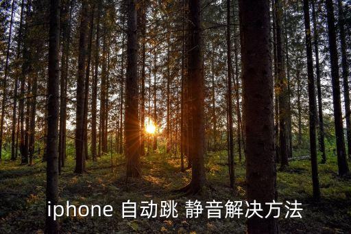 蘋果手機會不會自動轉(zhuǎn)成靜音