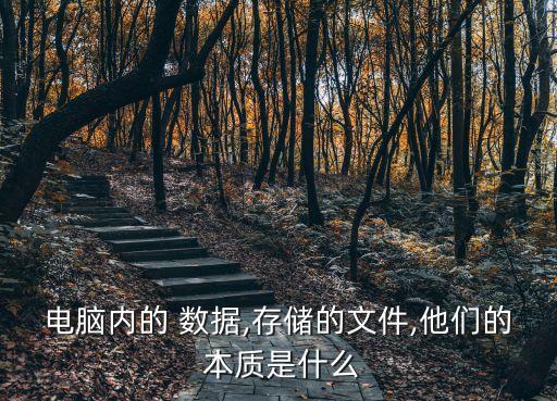 到數(shù)據的本質是,數(shù)據的本質是生產資料和資產