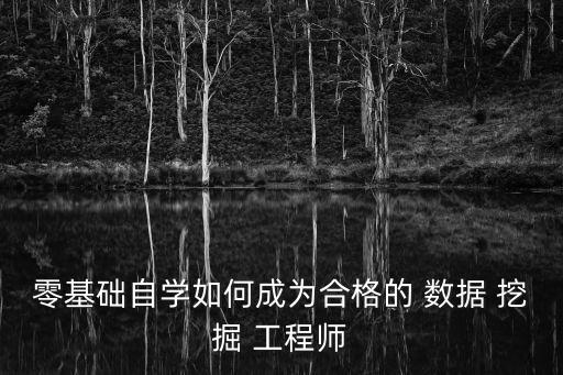零基礎(chǔ)自學如何成為合格的 數(shù)據(jù) 挖掘 工程師