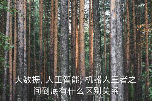 大數(shù)據(jù), 人工智能, 機(jī)器人三者之間到底有什么區(qū)別關(guān)系