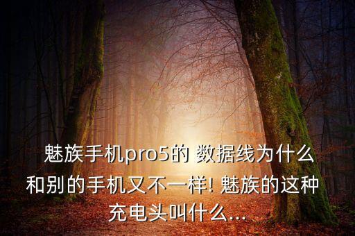  魅族手機pro5的 數(shù)據(jù)線為什么和別的手機又不一樣! 魅族的這種 充電頭叫什么...