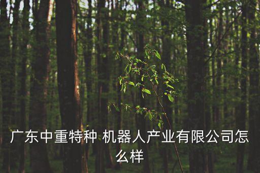 廣東中重特種 機(jī)器人產(chǎn)業(yè)有限公司怎么樣