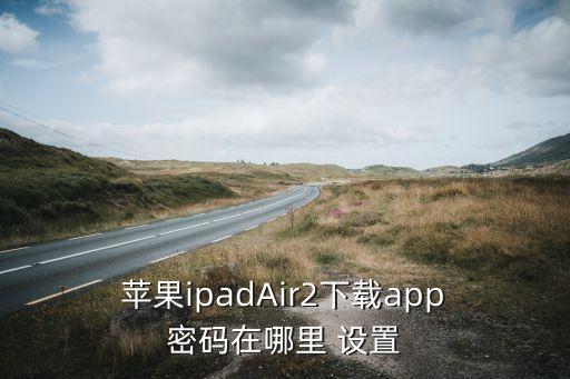 蘋果ios應(yīng)用與數(shù)據(jù)設(shè)置在哪里設(shè)置密碼