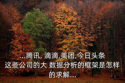 ...騰訊, 滴滴,美團,今日頭條這些公司的大 數(shù)據(jù)分析的框架是怎樣的求解...
