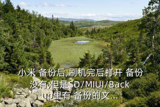  小米 備份后,刷機(jī)完后打開 備份沒有,但是SD/MIUI/Backup里有 備份的文...