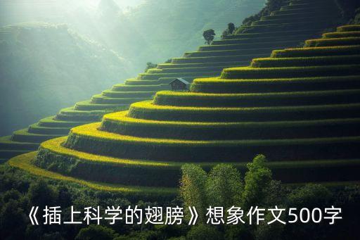 《插上科學的翅膀》想象作文500字