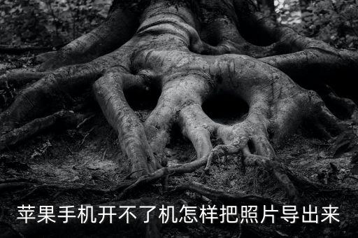 iphone不開機(jī)數(shù)據(jù)恢復(fù),蘋果手機(jī)開機(jī)顯示無法完成數(shù)據(jù)恢復(fù)