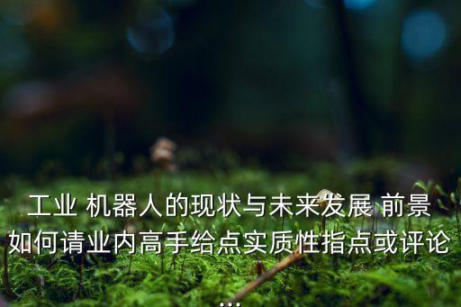工業(yè) 機器人的現(xiàn)狀與未來發(fā)展 前景如何請業(yè)內(nèi)高手給點實質(zhì)性指點或評論...
