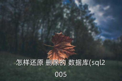 恢復(fù)刪除的數(shù)據(jù)庫(kù)