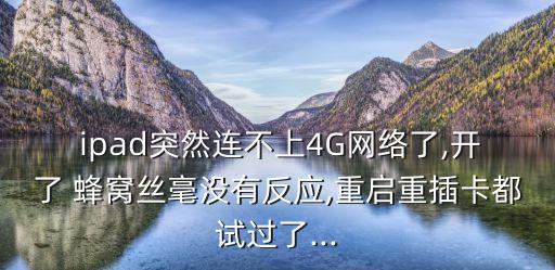  ipad突然連不上4G網(wǎng)絡(luò)了,開了 蜂窩絲毫沒(méi)有反應(yīng),重啟重插卡都試過(guò)了...